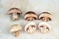 Cosmetive and medicinal mushrooms used in cooking shitak shimed champignons