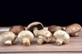 Cosmetive and medicinal mushrooms used in cooking shitak shimed champignons