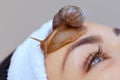 Cosmetological procedure. Beautiful young woman with a snail ahatin on her face Royalty Free Stock Photo