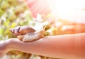 Cosmetological procedure. woman with a snail ahatin on her hand in a beauty salon at sunny day Royalty Free Stock Photo