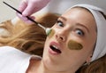 Cosmetologist applying a clay mask to the face of beautiful woman. Spa treatment and face care in the beauty salon Royalty Free Stock Photo