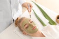 Cosmetologist applying mask with aloe vera extract onto face of young woman in beauty salon Royalty Free Stock Photo