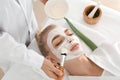 Cosmetologist applying mask with aloe vera extract onto face of young woman in beauty salon Royalty Free Stock Photo