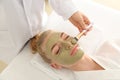 Cosmetologist applying mask with aloe vera extract onto face of young woman in beauty salon Royalty Free Stock Photo
