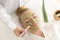 Cosmetologist applying mask with aloe vera extract onto face of young woman in beauty salon Royalty Free Stock Photo