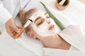 Cosmetologist applying mask with aloe vera extract onto face of young woman in beauty salon Royalty Free Stock Photo