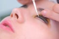 Cosmetologist bending lashes with needle into curlers, lift eyelashes laminaton. Royalty Free Stock Photo