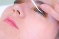 Cosmetologist bending lashes with needle into curlers, lift eyelashes laminaton.