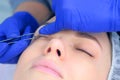 Cosmetologist separates woman`s lashes using tweezers after laminating. Royalty Free Stock Photo