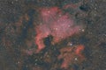 Cosmic Beauty: A Nebula Portrait