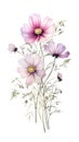 Cosmic Bouquet in Deep Purple: Isolated Watercolor on White Background in Contemporary Style .