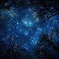 Cosmic Canopy: Stars Adorning the Celestial Firmament