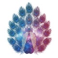 Cosmic Peacock Feathers: Vibrant Blue Red Galaxy Bird Royalty Free Stock Photo