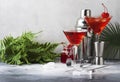 Cosmopolitan cocktail with vodka, liqueur, cranberry juice, lime, ice and orange zest, gray bar counter background, bartender Royalty Free Stock Photo