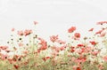 Cosmos flower made with oil paint effect Royalty Free Stock Photo