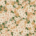 Cosmos flower and olives illustration motif seamless repeat pattern orange brown background Royalty Free Stock Photo