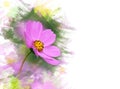 Cosmos flower.Watercolor effect