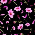 Cosmos Flowers on Black Background-Flowers in Bloom, seamless repeat pattern