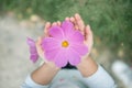 Cosmos flowers in child hand.