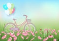 Cosmos flowers field and bicycle spring season paper art style