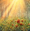 Cosmos flowers under sunlight in the field