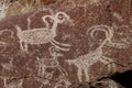 Coso Range Petroglyphs Royalty Free Stock Photo