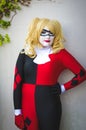 Cosplay as Harley Quinn from Batman