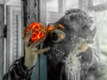 Cosplay of a stalker in a plague doctor mask holding a mysterious artifact and looking at it through glass. art photo