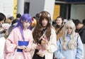 COSPLAYER in The Comiday16 Anime Festiva