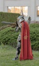 Cosplayer dressed as the character Haven Paladin