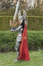 Cosplayer dressed as the character Haven Paladin