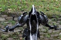 Cosplayer dressed as Malthael the angel of death, character from the video game Diablo.