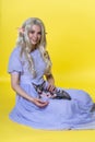 Cosplayer elf young blonde woman in blue dress sits on yellow background, holds Sphinx cat on lap Royalty Free Stock Photo