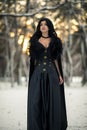 Cosplayer in image of a character Yennefer of Vengerberg from the game or film The Witcher in winter forest at sunset