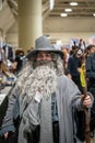 Cosplayer at Toronto Comicon event. Royalty Free Stock Photo