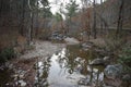 Cossatot river in the Ouachita National Forest in Arkansas