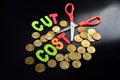 Cost cutting concept Royalty Free Stock Photo