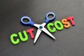 Cost cutting concept Royalty Free Stock Photo