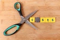 Cost cutting Royalty Free Stock Photo