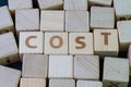 Cost, expense, financial term on money you pay concept, cube wooden block with alphabet combine the word Cost on black chalkboard Royalty Free Stock Photo