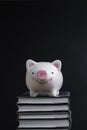 Cost of knowledge and education, savings for college or scholarship concept, pink smiling piggy bank on top of stack of books with