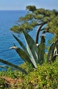 Costa Brava - mediterranien coastline in Spain Royalty Free Stock Photo