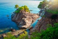 Costa brava seascape. Sea and rocky cliff with tree. Picturesque seaside in Lloret de Mar. Mediterranean sea bay