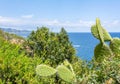 Costa Brava seascape seen from Marimurtra botanical gardens in Blanes, Spain Royalty Free Stock Photo