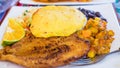 Costa Rica Food Casado Typical Meal Culture Spanish Food Fresh Fish Rice and Beans Travel Beach Side Restaurant Dining Tourism