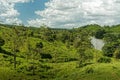 Costa Rica landscape from Boca Tapada, Rio San Carlos. Riverside with meadows and cows, tropical cloudy forest in the background. Royalty Free Stock Photo