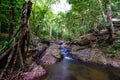 Costa Rica Nature Background Travel Destinations Rio CelesteCosta Rica Nature Background Travel Destinations Rio Celeste