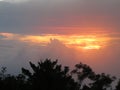 Costa Rica Orange Sunset Nature Pretty Trees Shadow Silhouette