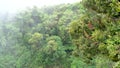 Costa Rica rainforest panorama with many plants and trees in Poas National Park of Costa Rica