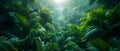 Costa Rican Forest Landscape: Trees and Plants in Nature. Concept Costa Rica, Forest landscape,